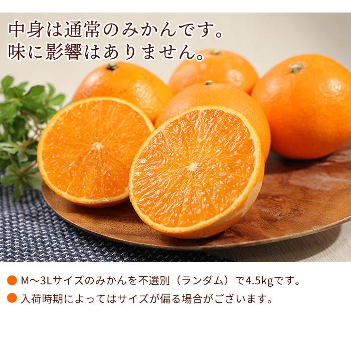 みかん 4.5kg 宇和島まどんな 訳あり 愛媛 わけあり 愛媛みかん ご家庭