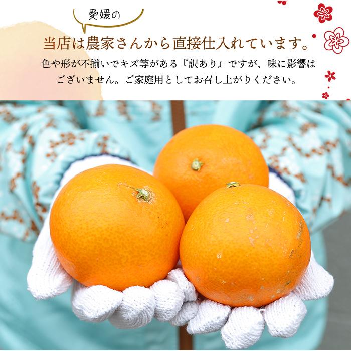 みかん 4.5kg 宇和島まどんな 訳あり 愛媛 わけあり 愛媛みかん ご家庭
