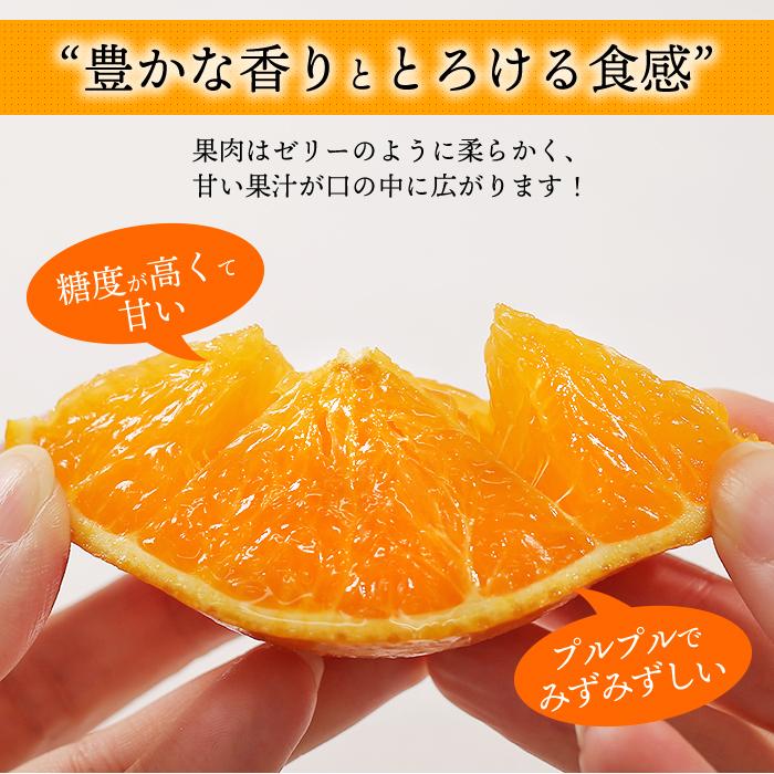 みかん 4.5kg 宇和島まどんな 訳あり 愛媛 わけあり 愛媛みかん ご家庭