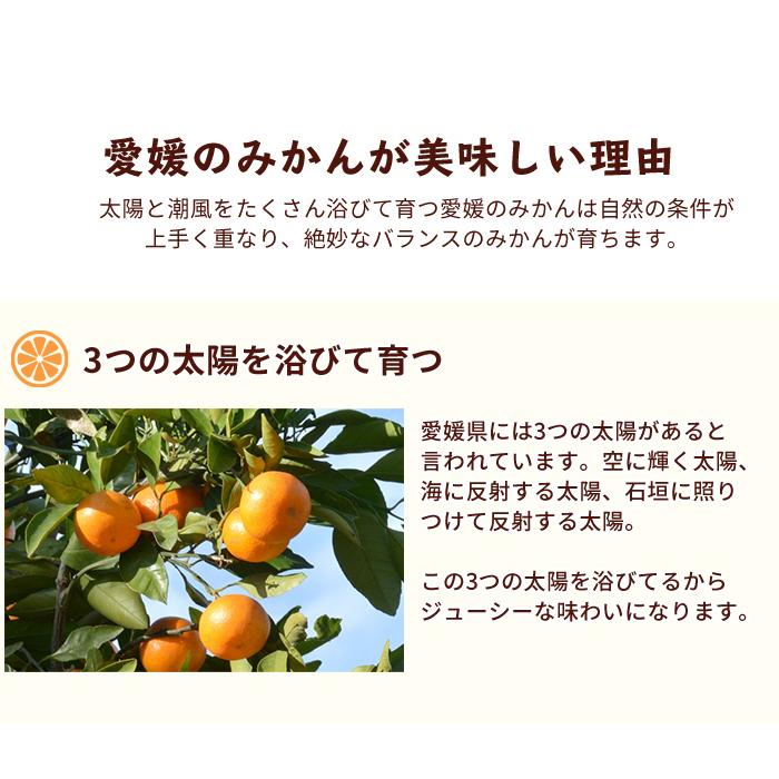 みかん 4.5kg 宇和島まどんな 訳あり 愛媛 わけあり 愛媛みかん ご家庭