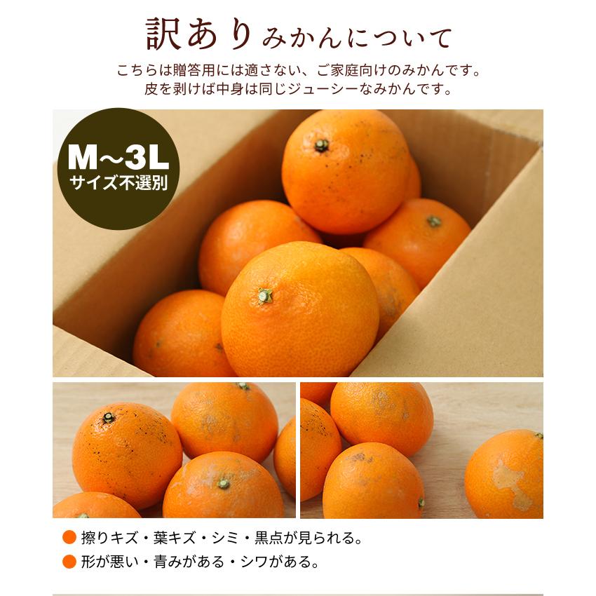 みかん 4.5kg 宇和島まどんな 訳あり 愛媛 わけあり 愛媛みかん ご家庭