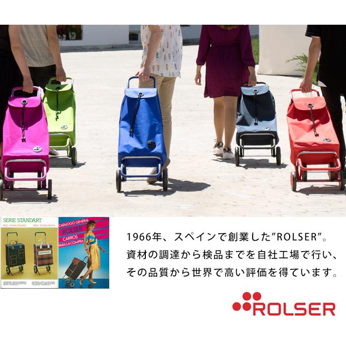 ROLSER（ロルサー） フレームのみ ロジックフレーム2 2輪