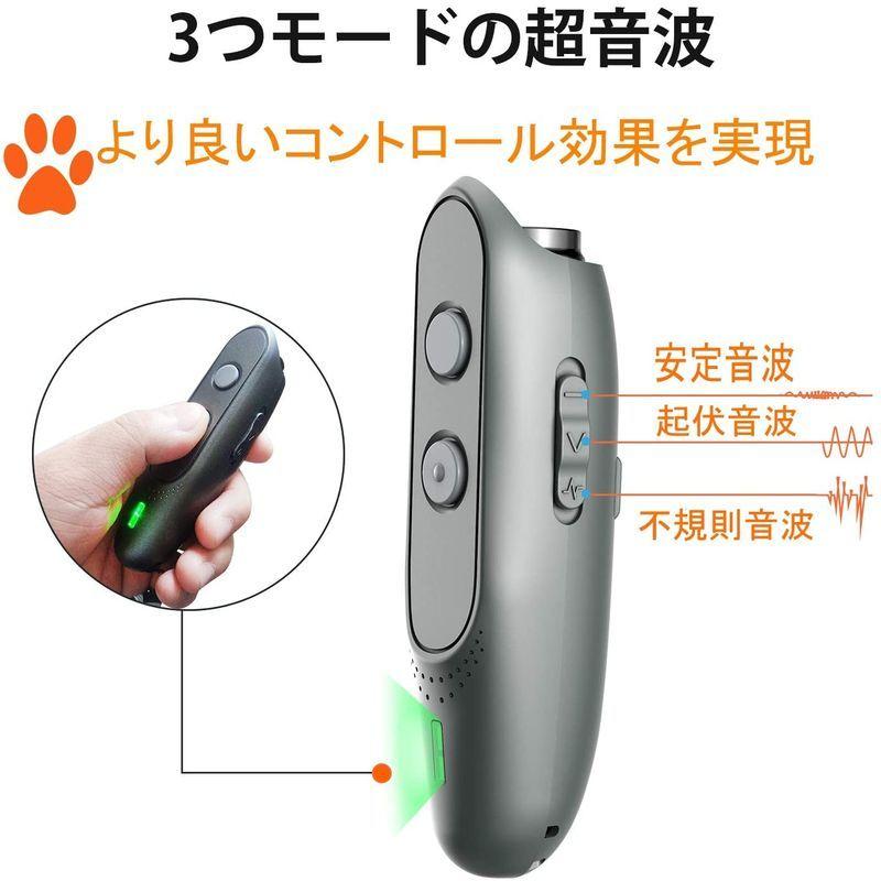 在庫一掃売り切りセール 食器 Oval Plate M 向山窯 Today 039 S Special Discoversvg Com