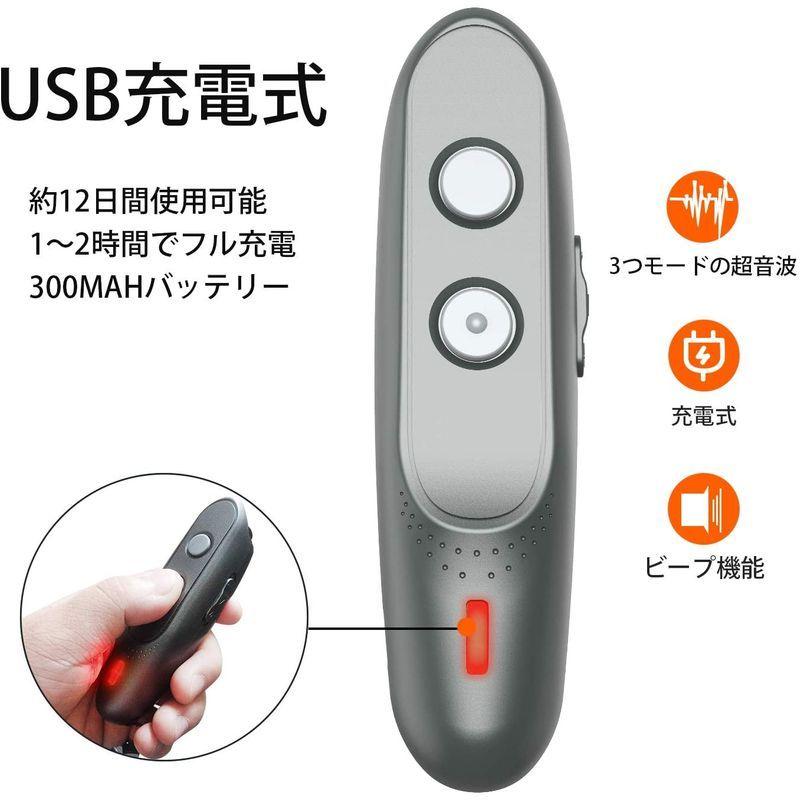 在庫一掃売り切りセール 食器 Oval Plate M 向山窯 Today 039 S Special Discoversvg Com