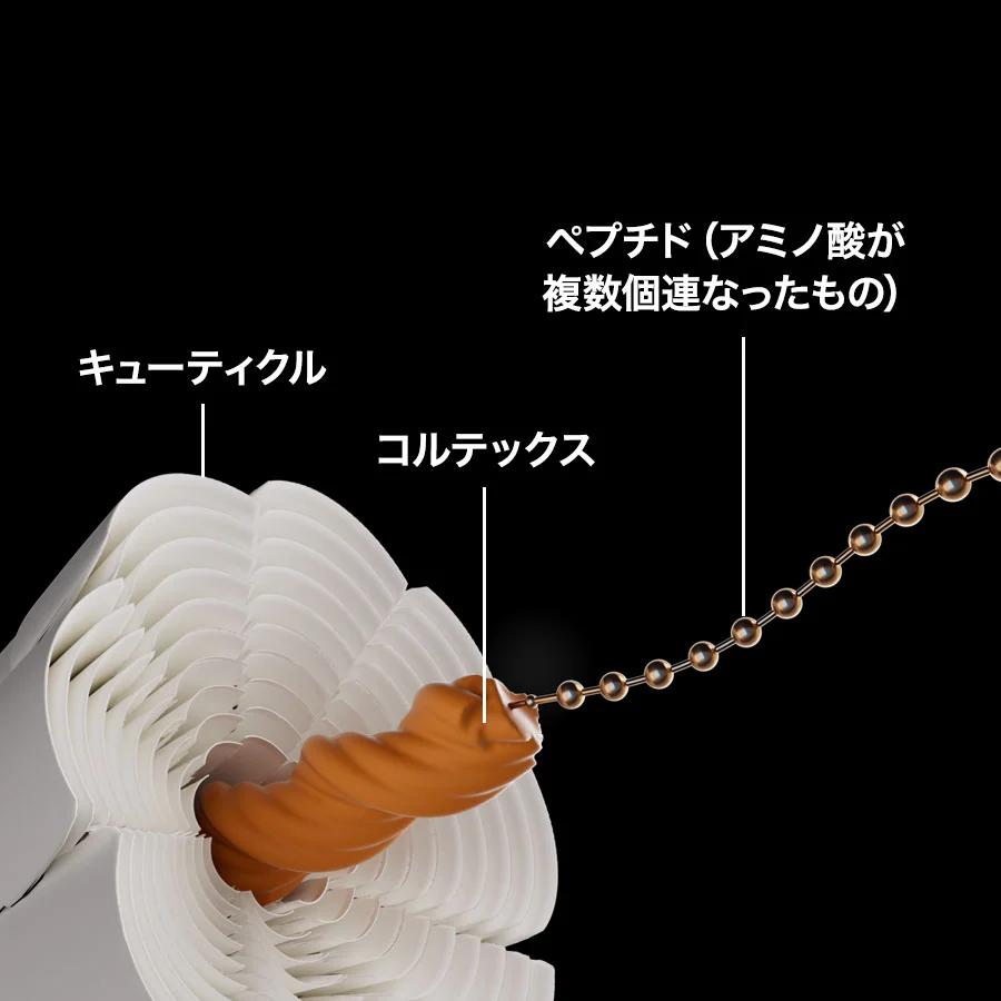 L'OREAL PROFESSIONNEL（ロレアル プロフェッショナル） セリエエクス