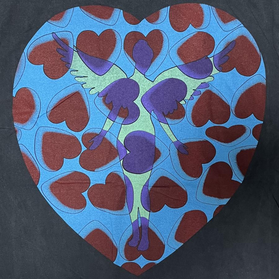 Nirvana / ニルヴァーナ ロング Tシャツ Heart-Shaped Box T-Shirt