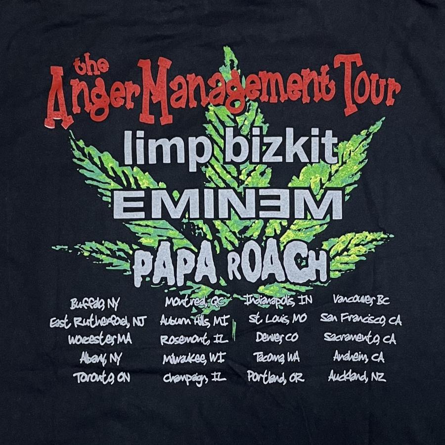 Limp Bizkit リンプビズキット Tシャツ ANGER MANAGEMENT TOUR ツアーT