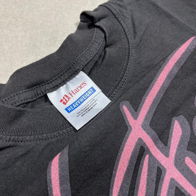 Pink Floyd ピンクフロイド Tシャツ A Momentary Lapse of Reason XL