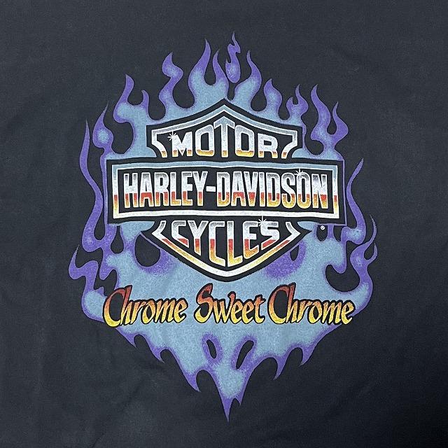 Harley-Davidson ハーレーダビッドソン 長袖 Tシャツ フレイム ロンT