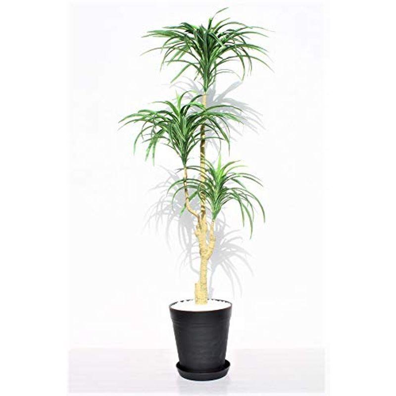超特価激安 人工観葉植物 フェイクグリーン 新ユッカ1黒鉢 光触媒 受け皿付き 宅送 Www Sei Ba Gov Br