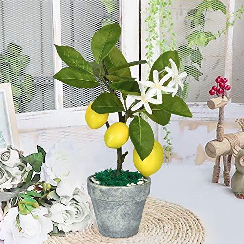 Livole レモン フルーツ鉢植え 人工観葉植物 フェイクグリーン 観葉植物 フェイク 造花 ミニ インテリア 室内装飾用 小石とモス付き フラワー S 12 オンライン シェア ショップ 通販 Yahoo ショッピング