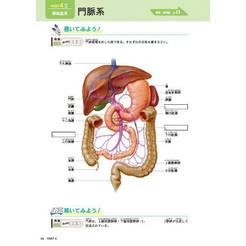 書いて覚える解剖生理ワークブック ナース 書籍 看護 本 看護書 医療｜o-sakatsuhan｜02