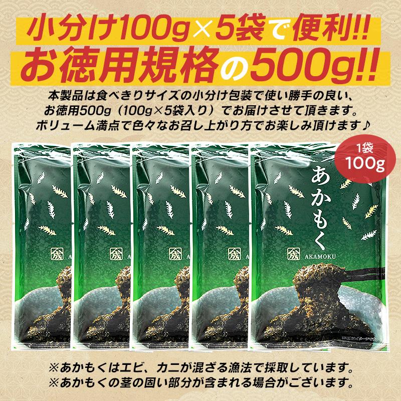 アオザメ幼体冷凍販売 Amazon | 〈冷凍釣りエサ〉浜市［HAMAICHI