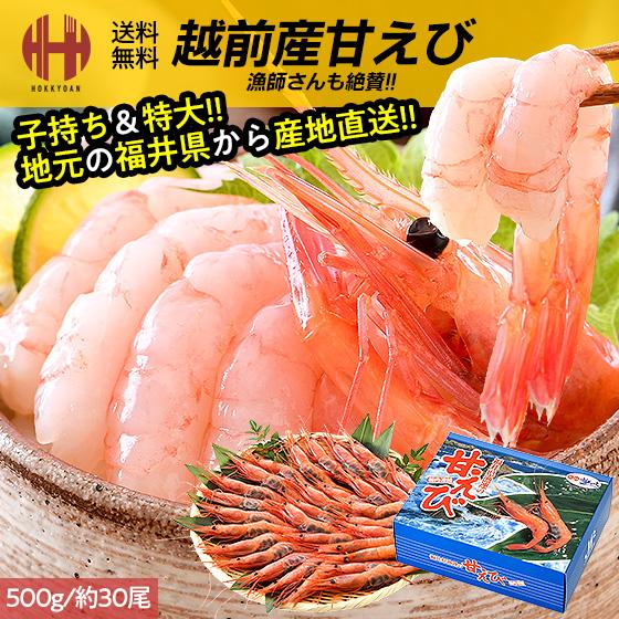 ほっきょ庵 甘エビ 甘えび 特大 子持ち 刺身 500g 約30尾 冷凍 越前甘