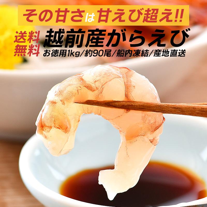 ほっきょ庵 ガラエビ がらえび がらエビ 1kg 500g×2箱 ガマエビ 