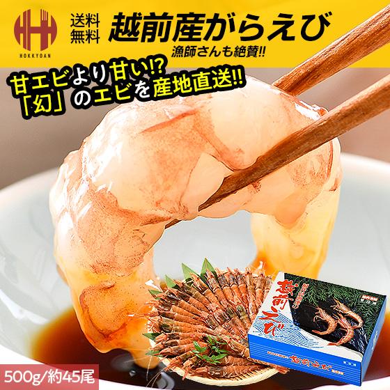 えび(系統変更) ほっきょ庵 ガラエビ がらえび がらエビ 500g ガマエビ ガサエビ