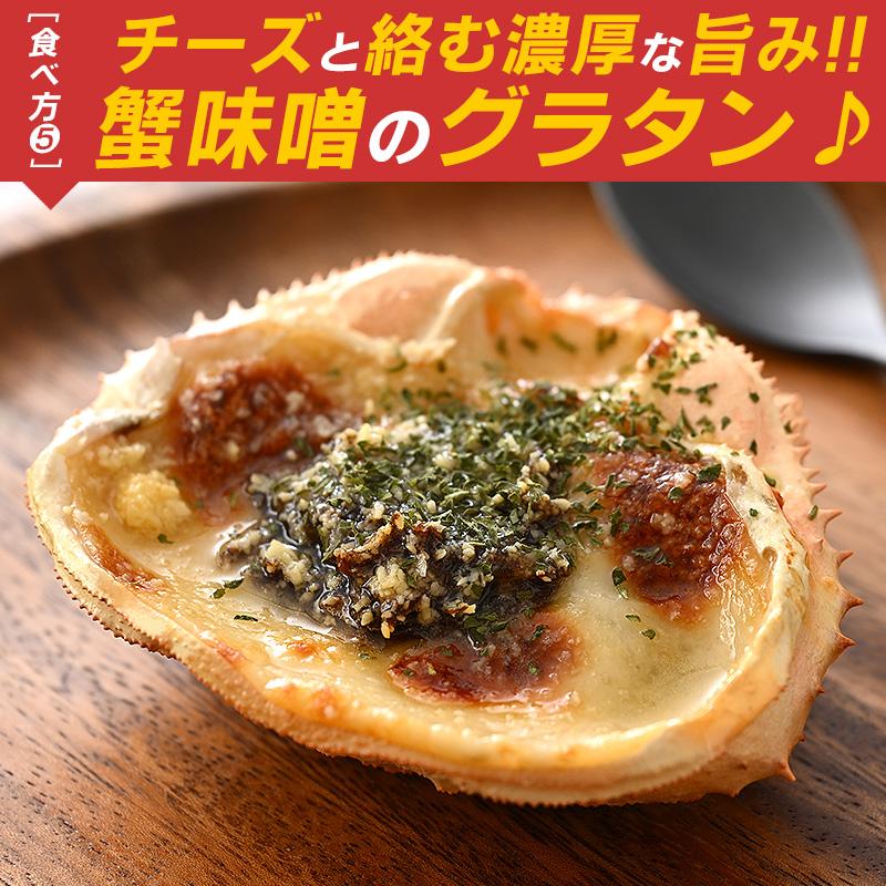 ほっきょ庵 かにみそ カニみそ 蟹味噌 かにみそ甲羅焼き かにみそ甲羅