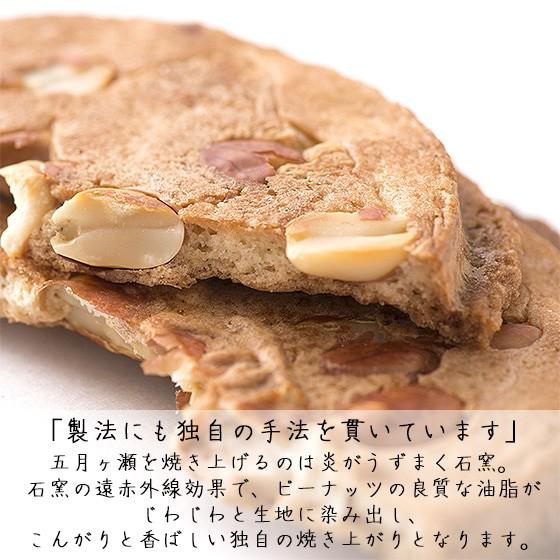 ほっきょ庵 五月ヶ瀬 煎餅 8枚入り せんべい 福井 お土産 銘菓