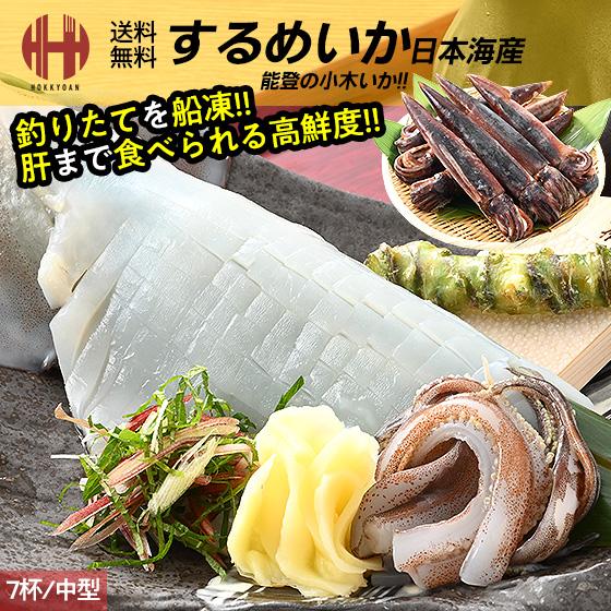 ほっきょ庵 するめいか スルメイカ生 スルメイカ 冷凍 いか イカ 7杯