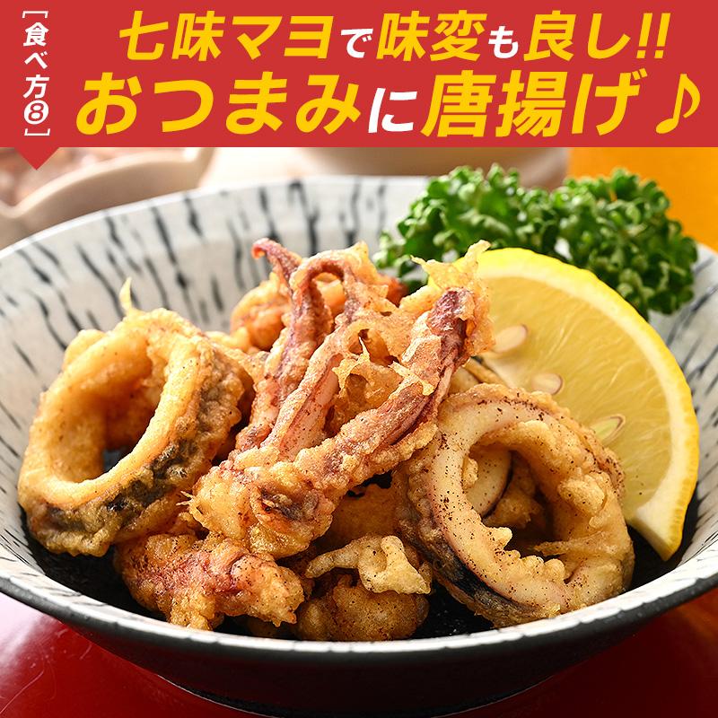 ほっきょ庵 するめいか スルメイカ生 スルメイカ 冷凍 いか イカ 7杯