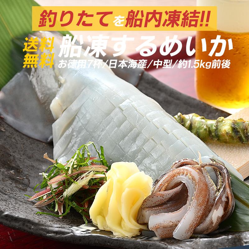 ほっきょ庵 するめいか スルメイカ生 スルメイカ 冷凍 いか イカ 7杯