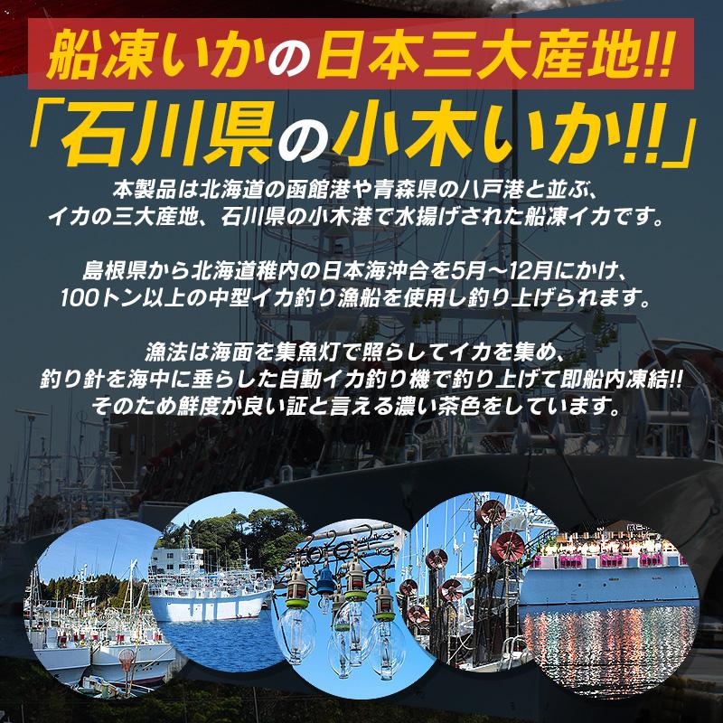 ほっきょ庵 するめいか スルメイカ生 スルメイカ 冷凍 いか イカ 7杯