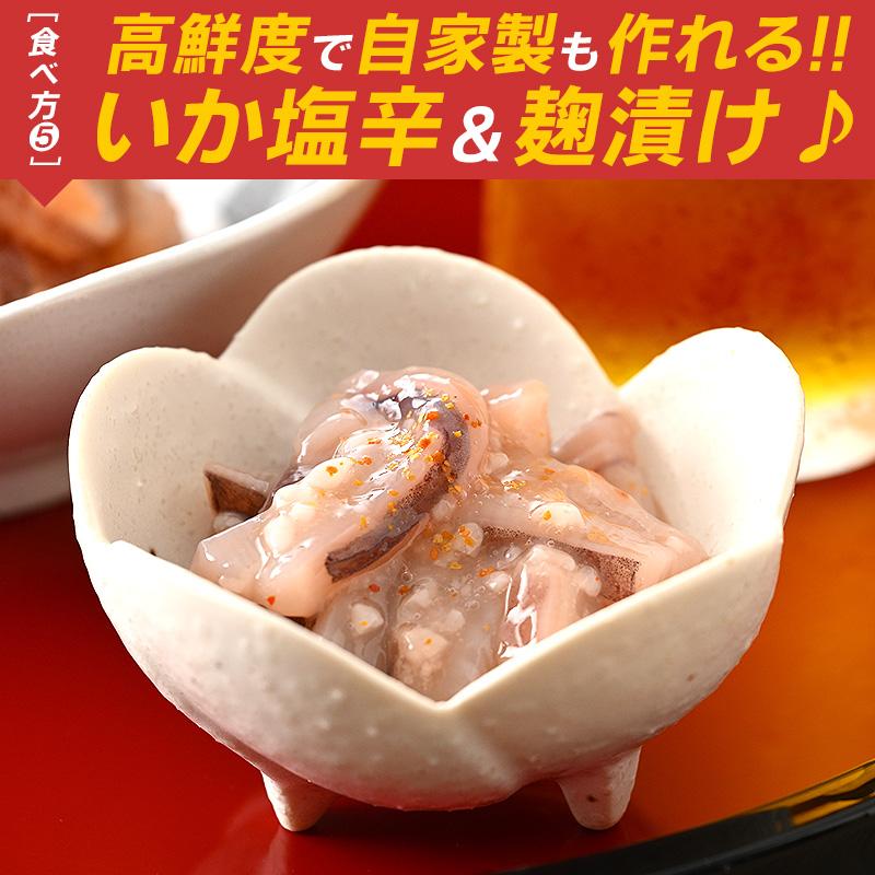 ほっきょ庵 するめいか スルメイカ生 スルメイカ 冷凍 いか イカ 7杯