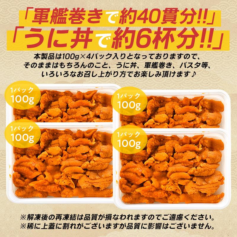 うにページ ほっきょ庵 うに ウニ お取り寄せ 無添加 A級品 400g （100g×4個