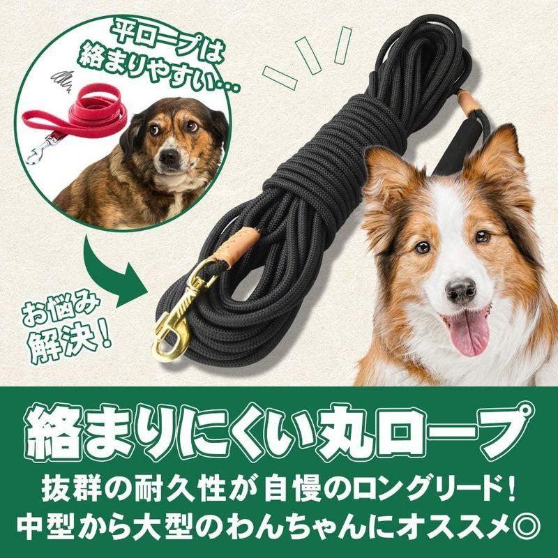 人気 Almond ロングリード m 絡みにくい犬 リード トレーニング ロング リード犬用 犬 中型犬 大型犬用リード Shipsctc Org