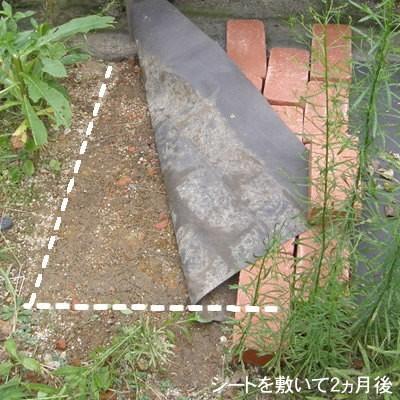 透水シート 135cm幅×100mロール1本 : お庭の玉手箱 - 通販 - Yahoo