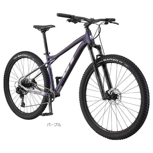 GT ジーティー 2025年モデル AVALANCHE EXPERT アバランチェ