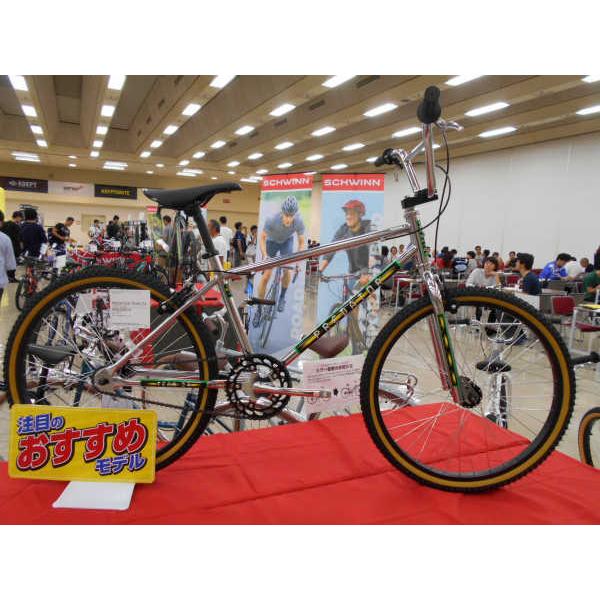 SCHWINN シュウィン 2021年モデル PREDATOR TEAM 24 プレデター