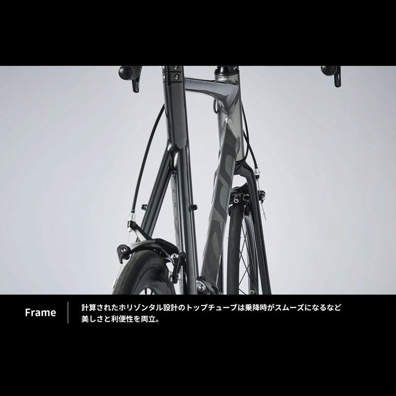 Tern Surge 2024年ターン サージュ 52 ミニベロ TERN ターン 2024年モデル SURGE X サージュX(カイ) ミニベロ