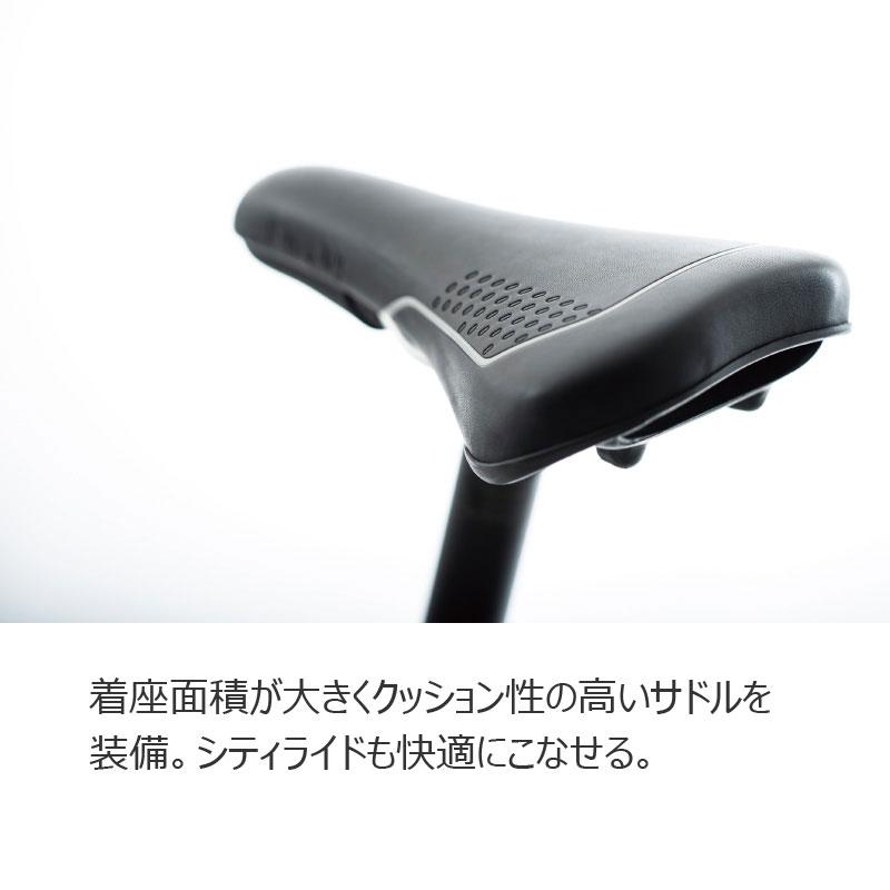 Birdy バーディー birdy Classic マットチャコール 折りたたみ自転車