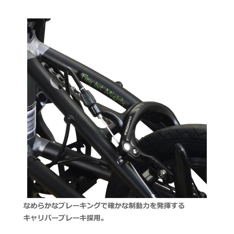 DAHON（ダホン） DAHON INTERNATIONAL tbm ティービーエム 14” 3速