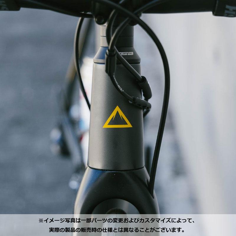 新生活応援セール FUJI フジ 2026年モデル NAOMI DISC ナオミディスク 2x9s ロードバイク【西濃運輸支店止め・法人商店宛・店舗受取送料無料】 | フジ(バイク) | 12