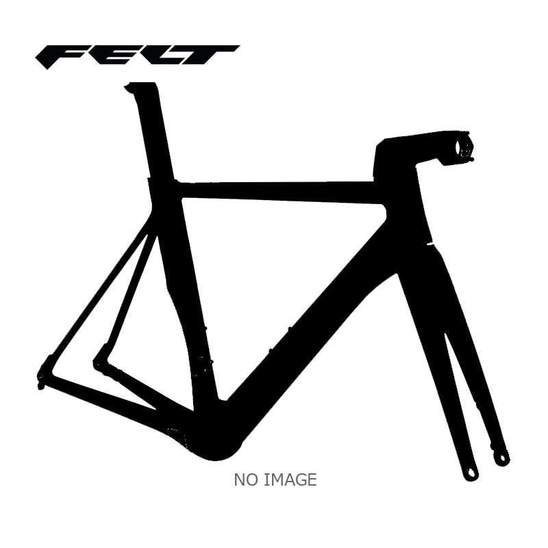 FELT フェルト 2024年モデル AR ADVANCED ロードバイク フレーム