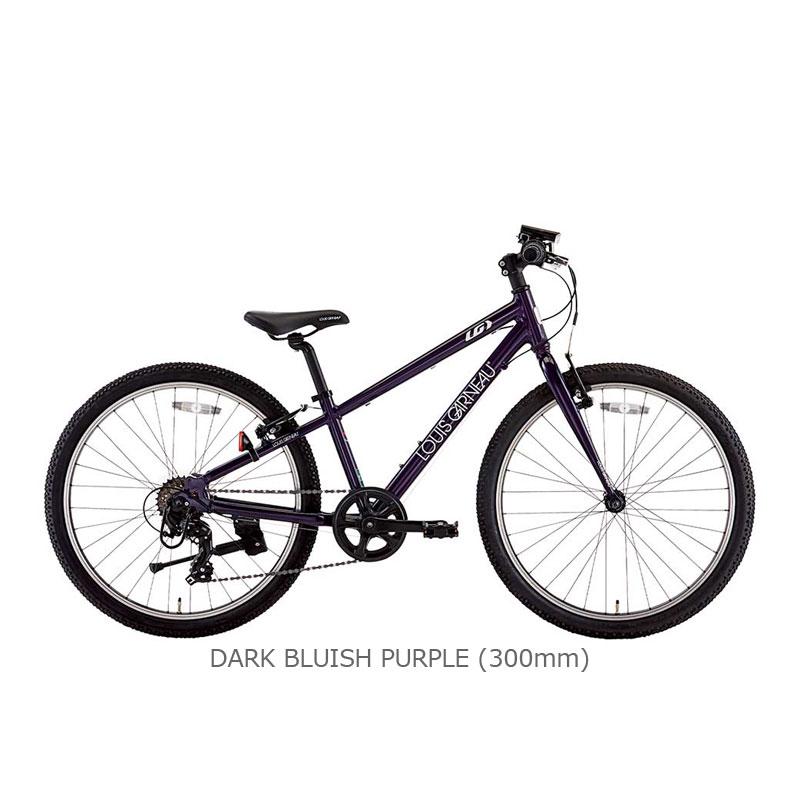 ルイガノ（LOUIS GARNEAU） J24 BAA-R 1x6s 24インチ 子供用自転車