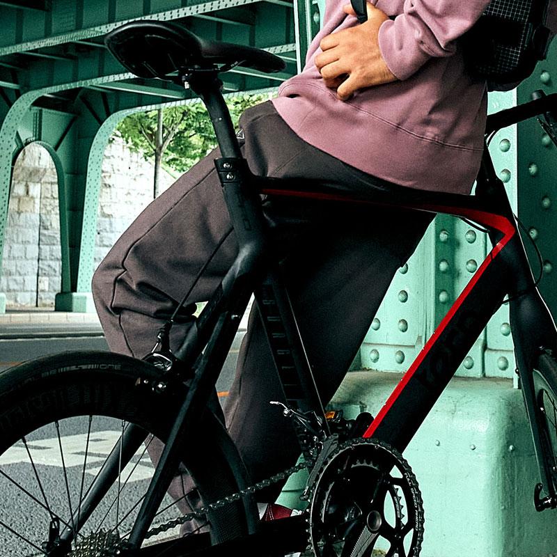 tern ターン 2026年モデル Surge Pro Delta サージュプロデルタ