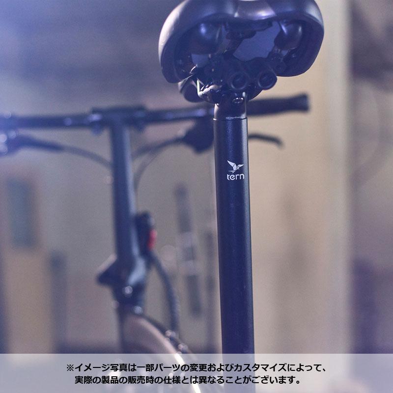 tern ターン 2026年モデル Verge P10 バージュP10 1x10s 20”(451