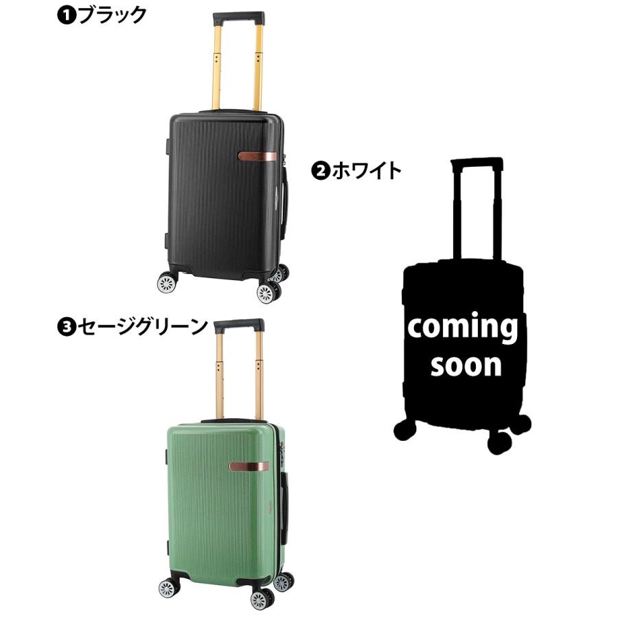 ジャル JAL ハード キャリー スーツケース 37L 43L 小型 2〜3泊程度
