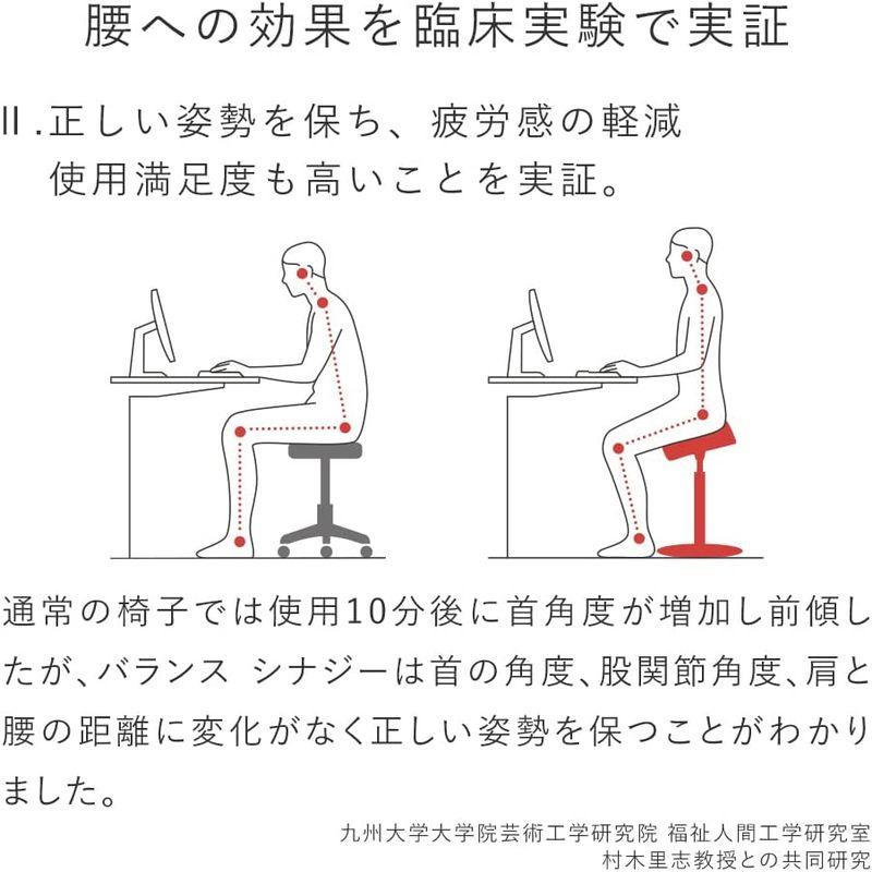 ずっと気になってた バランス シナジー スクエア 腰痛対策 腰痛椅子 織