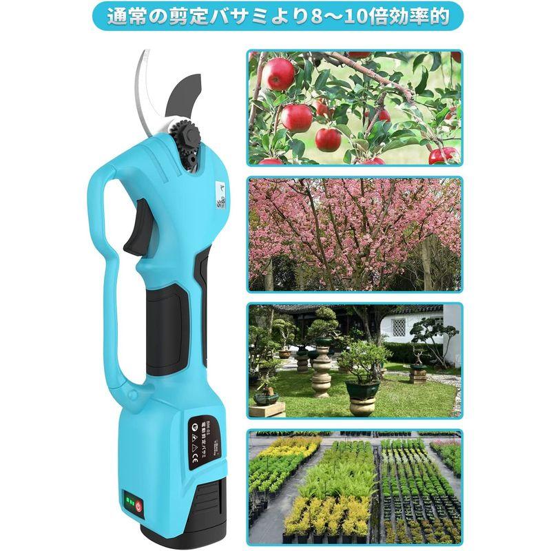 電動剪定バサミ 軽量 Bravemonkey 充電式剪定ばさみ コードレス LEDディスプレイ付き SK5ブレード 非粘着性コーティング刃 軽量 Bravemonkey 充電式剪定ばさみ コードレス LEDディスプレイ付き SK5ブレード 非粘着性コーティング刃