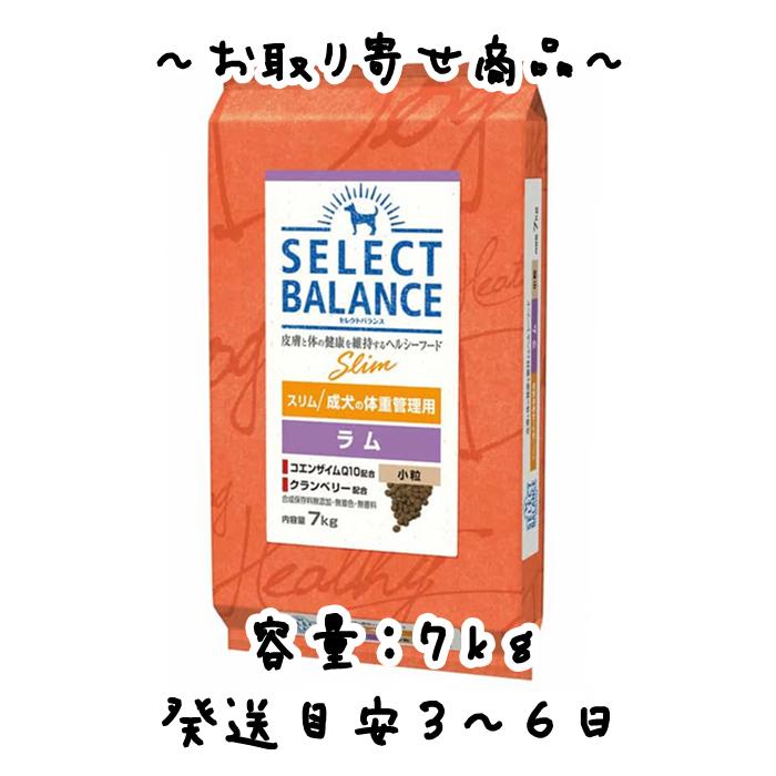 ベッツチョイス セレクトバランス パピー ラム 小粒 18.14kg ⑤ 