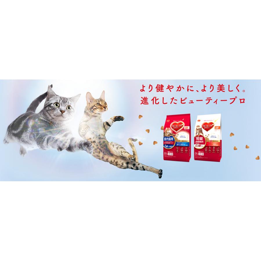 日本ペットフード　ビューティープロドライキャット　１歳からの下部尿路健康維持　チキン味1.4kg【猫用】【小分け分包】｜oahu｜10