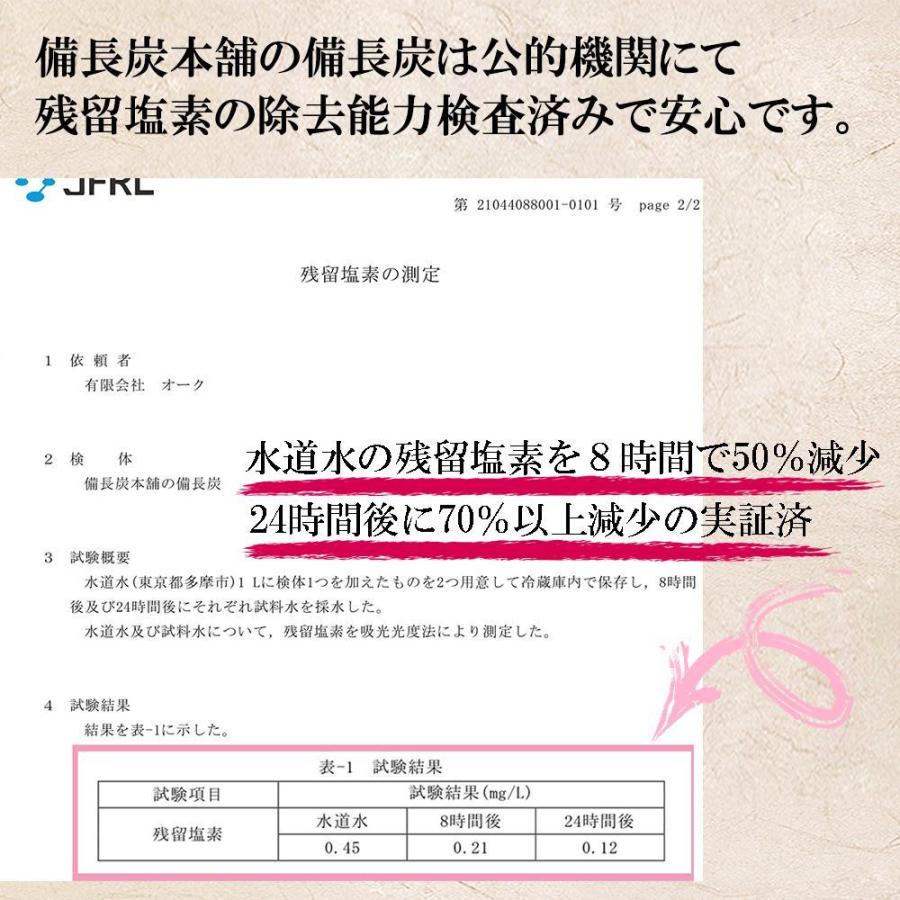 備長炭本舗 浄水 ふぞろい備長炭 2本 2個セット 料理人愛用 炊飯 おいしい水 浄化 インテリア 消臭 おすすめ 玄関 風水 除湿 炭