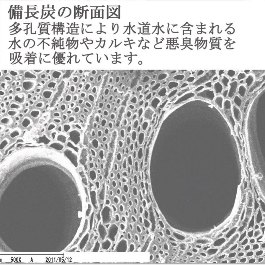 備長炭本舗 浄水 ふぞろい備長炭 5本 炊飯 水 飲料水用 消臭 冷蔵庫 ミネラルウォーター 脱臭 炭 すみ 玄関 風水 浄化 インテリア 除湿｜oak｜07