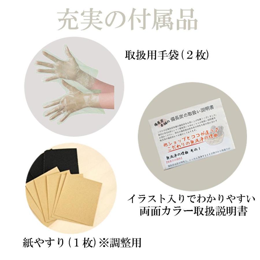備長炭 浄水 ペットボトルに入る 備長炭 Mサイズ 15-17cm 10本セット 炭 炊飯 すみ 水 消臭 ミネラルウォーター 脱臭 玄関 風水 浄化 インテリア 除湿 調湿