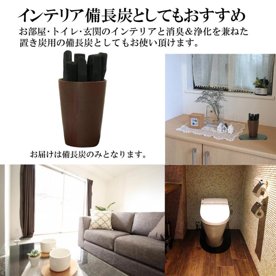 備長炭 浄水 ペットボトルに入る 備長炭 Mサイズ 15-17cm 10本セット 炭 炊飯 すみ 水 消臭 ミネラルウォーター 脱臭 玄関 風水 浄化 インテリア 除湿 調湿