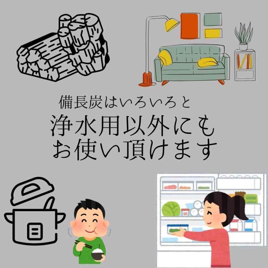 備長炭 国産 浄水 水に沈む 備長炭 極太 3本 高級 馬目樫 ウバメガシ 炭 炊飯 備蓄米 水 飲料水用 消臭 除湿 脱臭 すみ 玄関 風水 浄化 インテリア トイレ indz | ブランド登録なし | 10